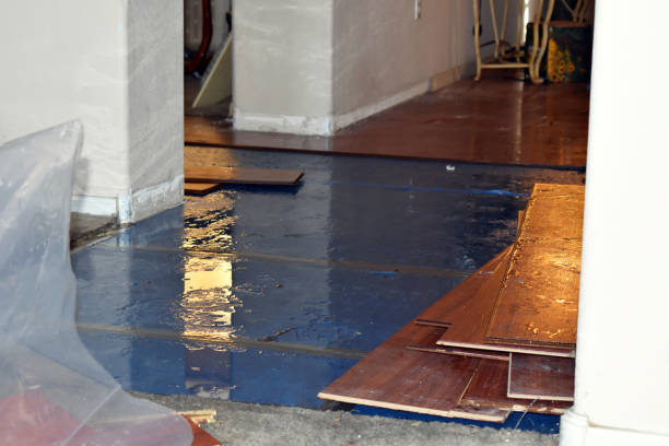Professional Flood Damage Repair technician working in Caledonia, WI